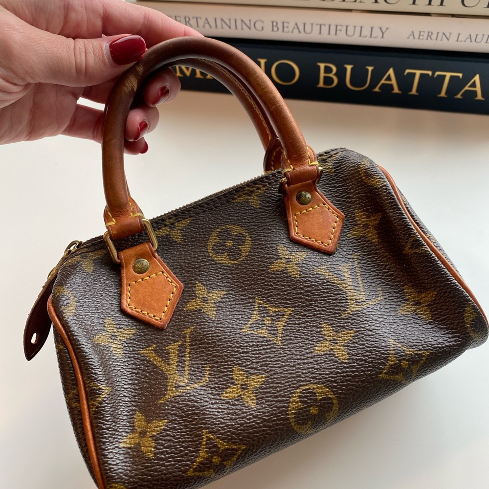 Louis Vuitton Mini Bag in Brown and Gold Monogram